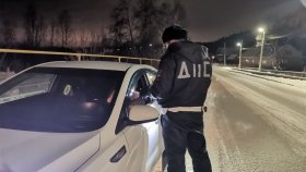 Госавтоинспекция Свердловской области информирует о дорожно-транспортной обстановке на территории региона за 7 января 2026 года