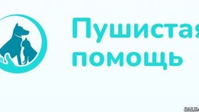 Как проверить отметки в ветпаспорте: контроль перед вакцинацией