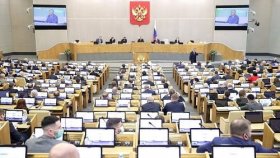 Свыше 390 тысяч россиян поддержали инициативу против перевоза семей мигрантами
