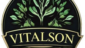 Виталсон