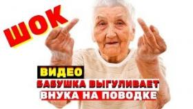 В Красноярске бабушка выгуливает своего внука на поводке (ВИДЕО)