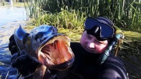 ПОДВОДНАЯ ОХОТА. НЕОЖИДАННАЯ НАХОДКА. Уха на костре
