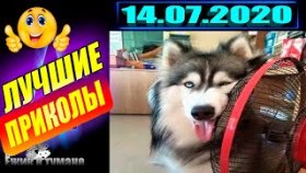 ПОДБОРКА Лучших Приколов / COUB BEST 2020 / Приколы из ИНСТАГРАМА 2020 / КУБ / CUBE / КОУБ Июль 2020