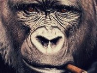 Фото пользователя Еworld22