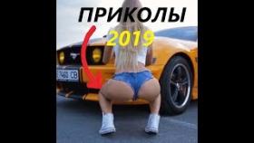 ПРИКОЛЫ! СМЕШНЫЕ ВИДЕО - Лучшие приколы #13