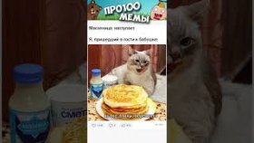 Мемы про котиков на 23 февраля