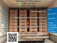 Фото пользователя Рифат Бадертдинов