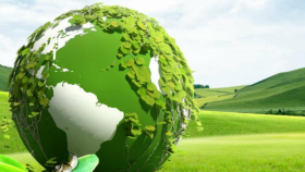 Greenway — современный бренд экологичных решений