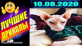ПОДБОРКА Лучших Приколов / COUB BEST 2020 / Приколы из ИНСТАГРАМА 2020 /КУБ/ CUBE / КОУБ АВГУСТ 2020