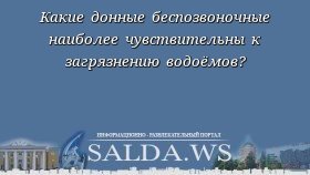 Какие донные беспозвоночные наиболее чувствительны к загрязнению водоёмов?