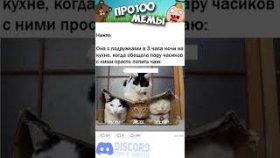 Приколы и короткие мемы с котиками на 6 декабря 2022