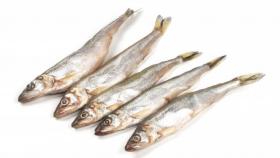 Выбор поставщика морепродуктов