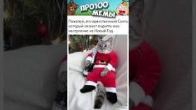Короткие приколы и мемы с озвучкой на 29 декабря