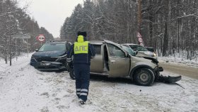 Сотрудники Госавтоинспекции установили предварительные обстоятельства массового дорожно-транспортного происшествия, в результате которого пострадал один человек
