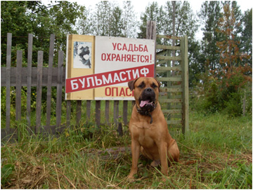 Открыть в полный размер