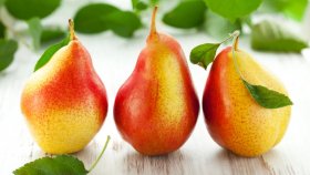 Самые сладкие сорта груши для Подмосковья: как определиться с выбором?