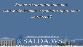 Какие взаимоотношения, взаимодействия изучает социальная экология?