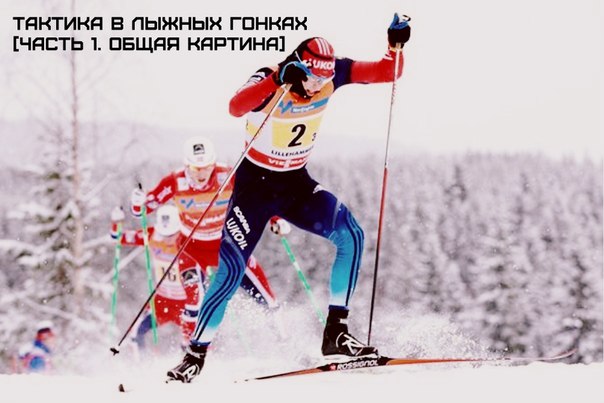 Открыть в полный размер