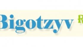 Bigotzyv.ru: обзор информационного портала с отзывами