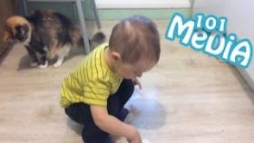 Смешные моменты с животными коты кошки и дети милые и позитивные