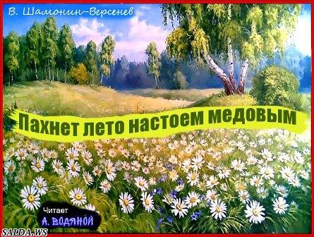 Открыть в полный размер