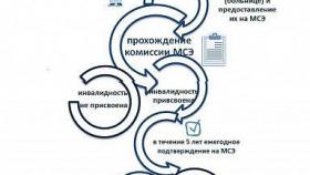 Как оформить инвалидность?