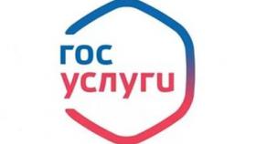 Госуслуги МВД быстрее и дешевле получать в электронном виде!
