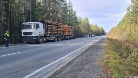 На севере Свердловской области водитель грузовика совершил наезд на человека и скрылся, но был задержан автоинспекторами в кратчайшие сроки