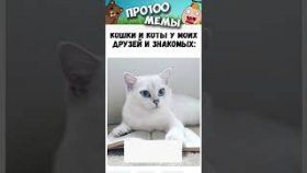 Короткие мемы созвучкой на 1 марта