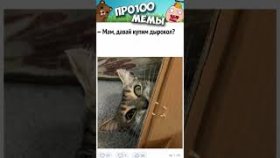 Короткие приколы и мемы с котами     на    27 декабря.