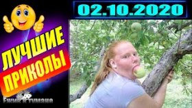 Подборка Приколов 2020 BEST CUBE 2020 Лучшие Видео из Инстаграм BEST COUB 2020 Приколы СЕНТЯБРЬ 2020