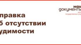Порядок предоставления государственной услуги  по выдаче справок о наличии (отсутствии) судимости