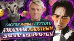 Басков назвал Крутого домашним животным Димаша