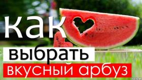 Как выбрать хороший арбуз по внешнему виду?
