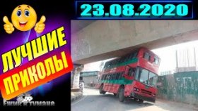 Ёжик в Тумане ПРИКОЛЫ из Инстаграма 2020 / COUB BEST 2020 / КУБ/ CUBE / КОУБ АВГУСТ 2020