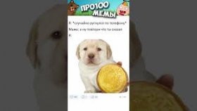 Короткие приколы и мемы с озвучкой  на 7 января
