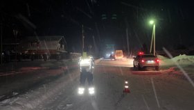 Сотрудники Госавтоинспекции устанавливают обстоятельства ДТП с двумя пострадавшими пешеходами в поселке Висим