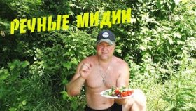 РЕЦЕПТ РЕЧНЫХ МИДИЙ. Готовим речные &quot;УСТРИЦЫ&quot; - БЕЗЗУБКИ. Пальчики оближешь!!!