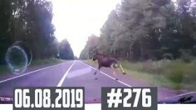 Подборка ДТП с видеорегистратора 06.08.2019 №276