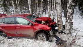 Госавтоинспекция Свердловской области не рекомендует выбирать для междугородних поездок водителей, используя мобильные приложения