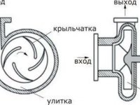 Фото пользователя sarovg