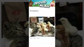 Короткие приколы и мемы с озвучкой на  31 декабря.