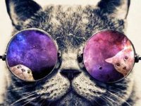 Фото пользователя acercool