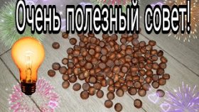 Как быстро и безопасно для пальцев расколоть орехи / Лайфхак года!!!
