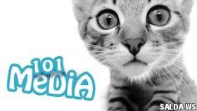 СМЕШНЫЕ КОТЫ ПРИКОЛЫ С КОТАМИ ТОПовая подборка 2017 ПРИКОЛЫ С КОШКАМИ FUNNY CATS СМЕШНЫЕ ЖИВОТНЫЕ
