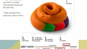 Раскрытие информации о здоровье на основе цвета и формы стула