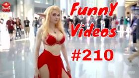 Подборка лучших видео приколов YOUTUBE #210