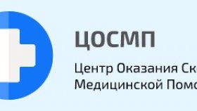 Частная скорая помощь: быстрая и высококвалифицированная медицинская помощь в Москве и Московской области