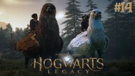 СПАСЕНИЕ ГИППОГРИФОВ ►Hogwarts Legacy ►Прохождение #14