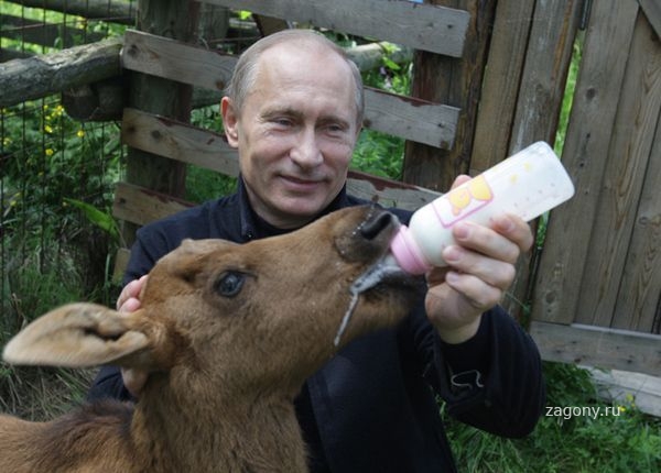 Открыть в полный размер